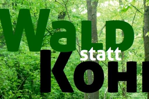 Hambacher Wald