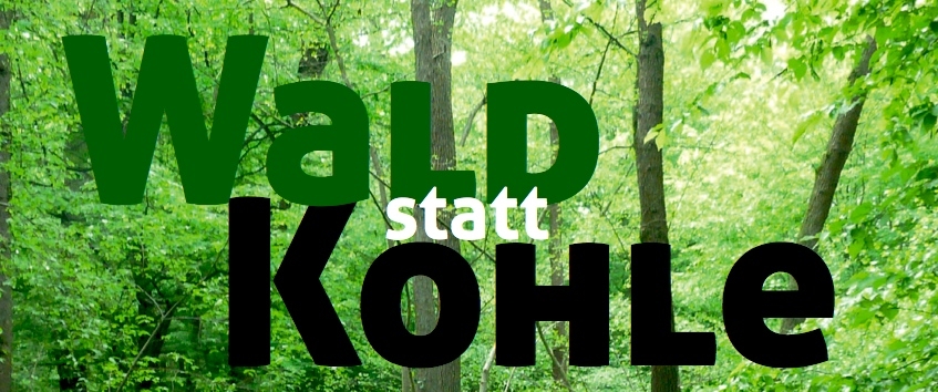 Wald statt Kohle (c) Hambacher Forst / Zobel Natur