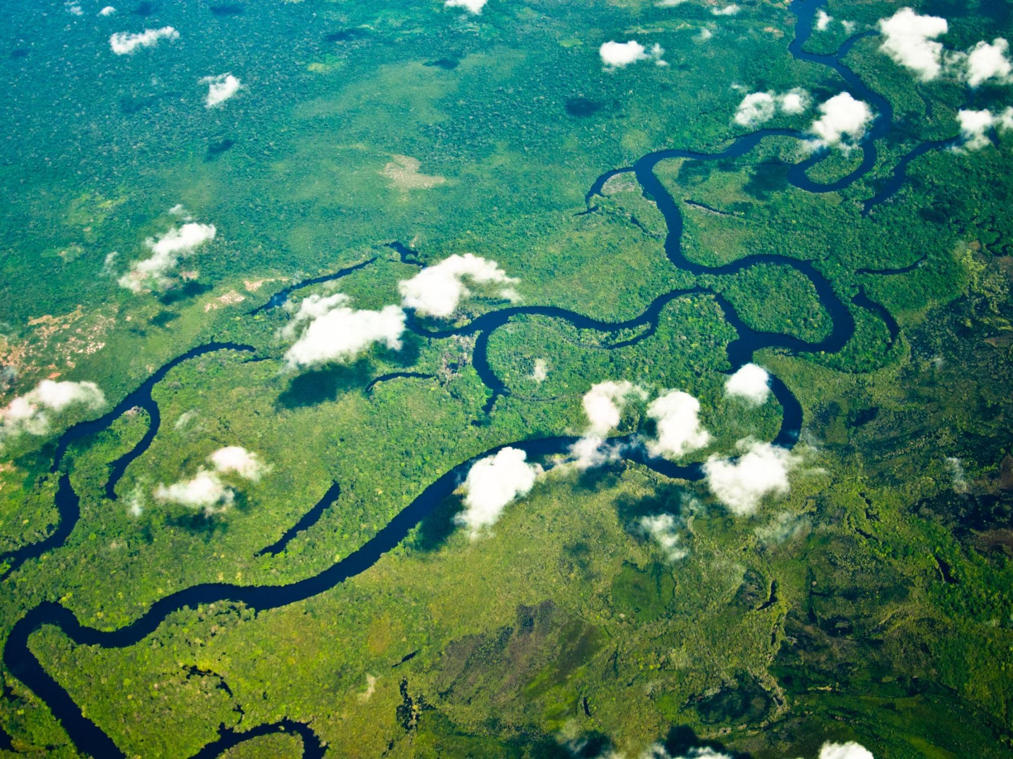 Amazonasgebiet